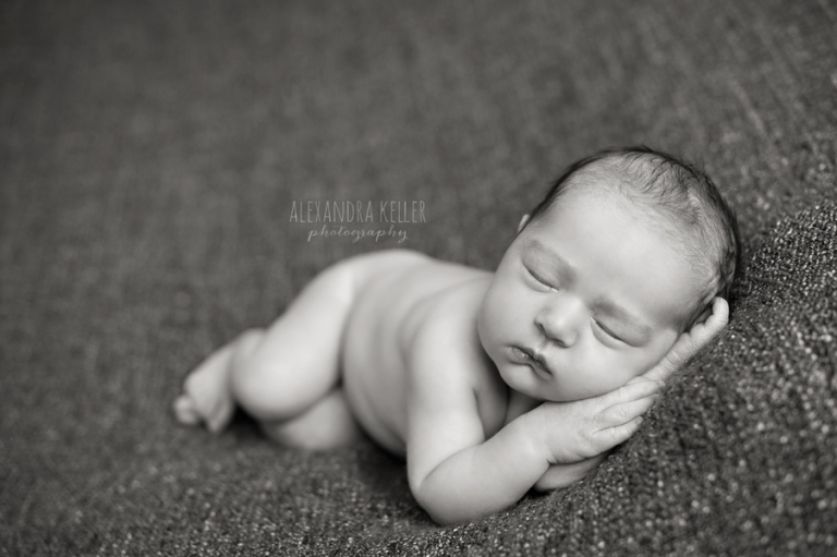 west-hills-newborn-photographer