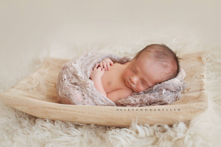 oak-park-newborn-photographer
