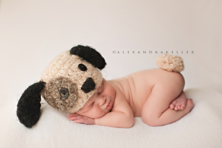 thousand-oaks-newborn